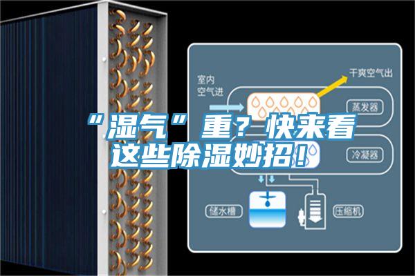 “濕氣”重？快來(lái)看這些除濕妙招！