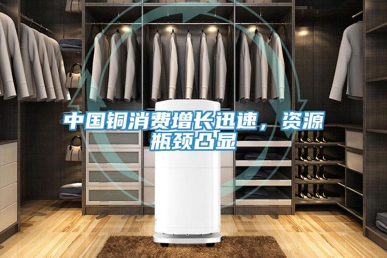 中國銅消費增長迅速,資源瓶頸凸顯