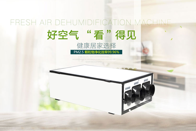 1542960596966904.jpg 室內(nèi)新風凈化器.jpg