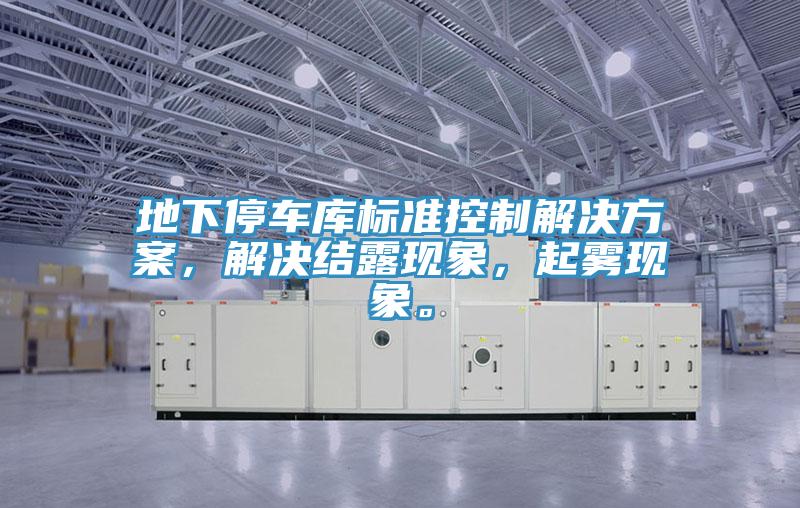 地下停車(chē)庫(kù)標(biāo)準(zhǔn)控制解決方案，解決結(jié)露現(xiàn)象，起霧現(xiàn)象。