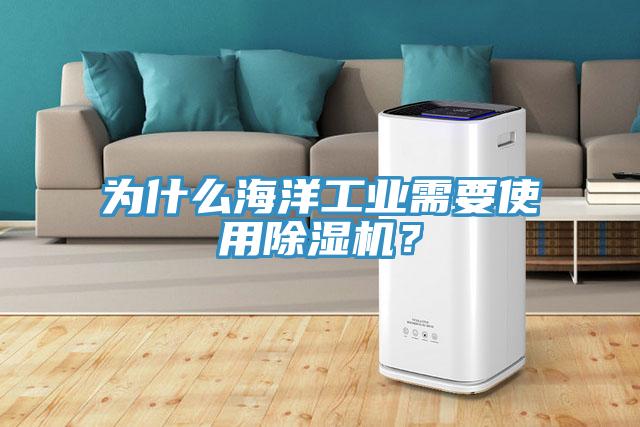 為什么海洋工業需要使用除濕機？