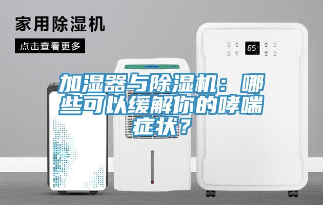 加濕器與除濕機：哪些可以緩解你的哮喘癥狀？