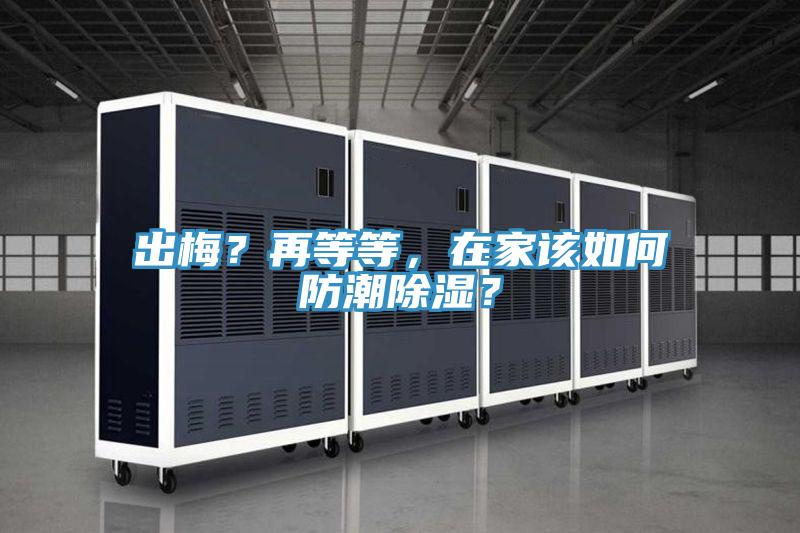 出梅？再等等，在家該如何防潮除濕？