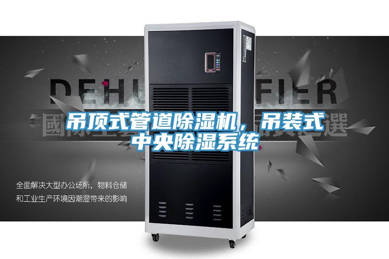 吊頂式管道除濕機,吊裝式中央除濕系統(tǒng)