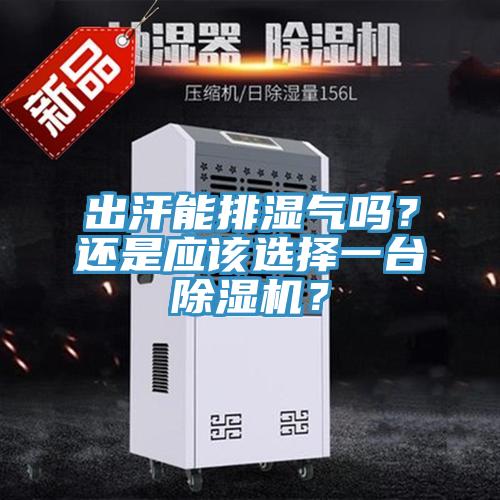 出汗能排濕氣嗎？還是應該選擇一臺除濕機？