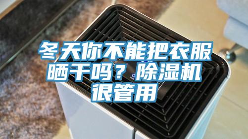 冬天你不能把衣服曬干嗎？除濕機很管用