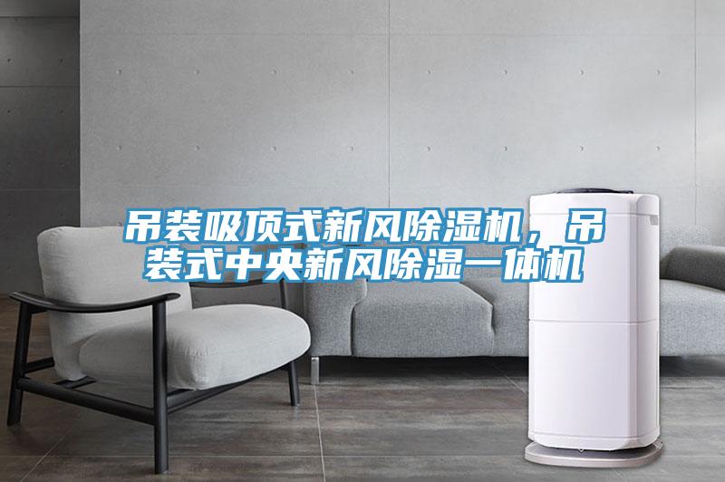 吊裝吸頂式新風(fēng)除濕機,吊裝式中央新風(fēng)除濕一體機