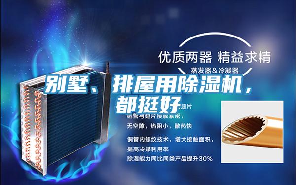 別墅、排屋用除濕機(jī)，都挺好