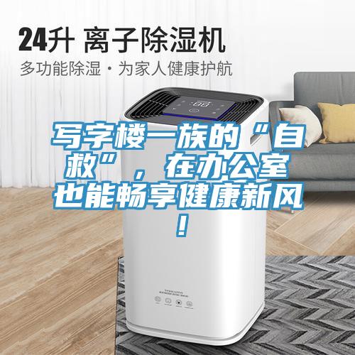 寫字樓一族的“自救”，在辦公室也能暢享健康新風(fēng)！