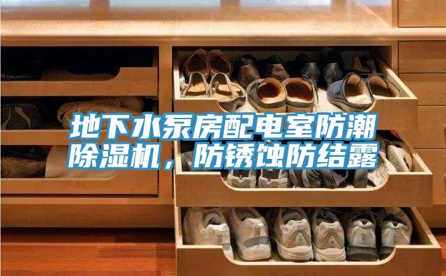 地下水泵房配電室防潮除濕機(jī)，防銹蝕防結(jié)露