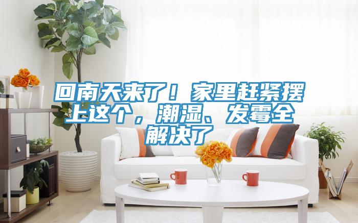 回南天來了！家里趕緊擺上這個(gè)，潮濕、發(fā)霉全解決了