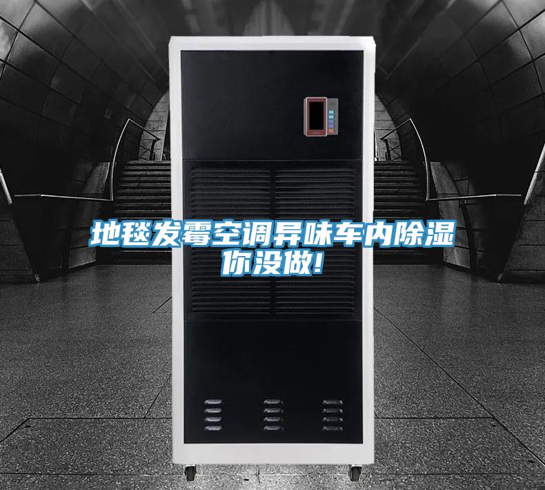 地毯發(fā)霉空調(diào)異味車內(nèi)除濕你沒做!