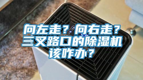 向左走？向右走？三叉路口的除濕機該咋辦？