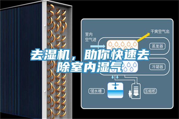 去濕機，助你快速去除室內濕氣