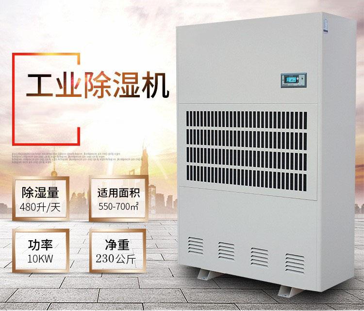 雙十一買什么？除濕機是首選