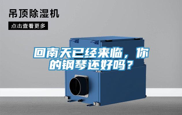 回南天已經(jīng)來(lái)臨，你的鋼琴還好嗎？