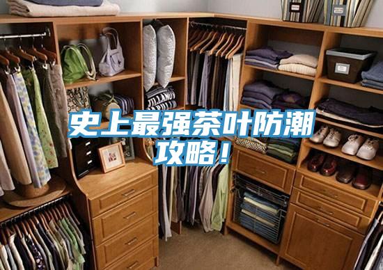 史上最強茶葉防潮攻略！