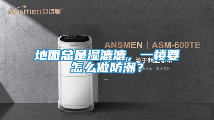 地面總是濕漉漉，一樓要怎么做防潮？