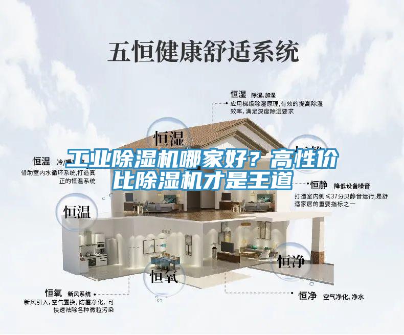 工業(yè)除濕機(jī)哪家好？高性價(jià)比除濕機(jī)才是王道