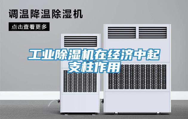 工業除濕機在經濟中起支柱作用