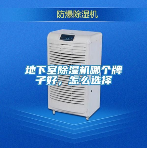 地下室除濕機(jī)哪個(gè)牌子好,怎么選擇