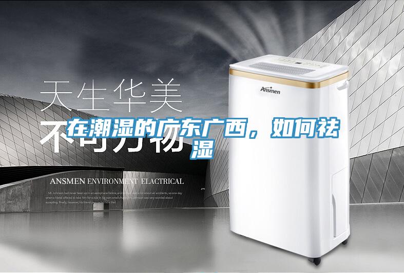 在潮濕的廣東廣西，如何祛濕