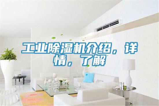 工業除濕機介紹，詳情，了解