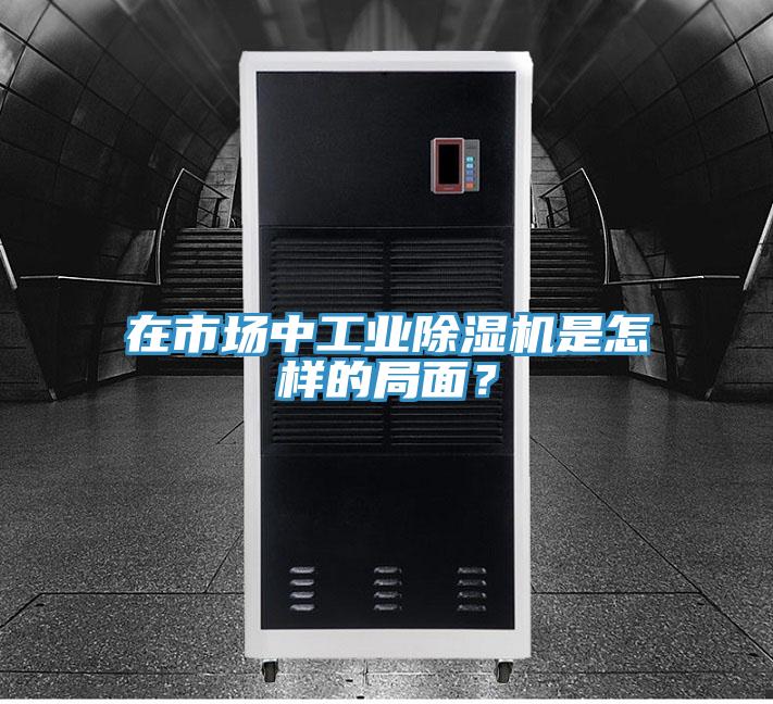 在市場中工業(yè)除濕機是怎樣的局面？