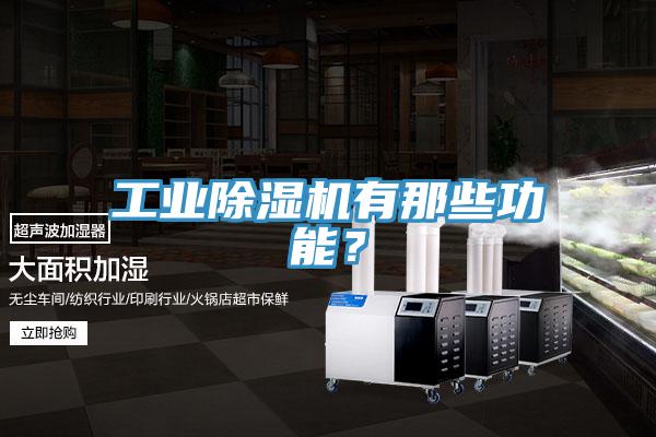 工業除濕機有那些功能？