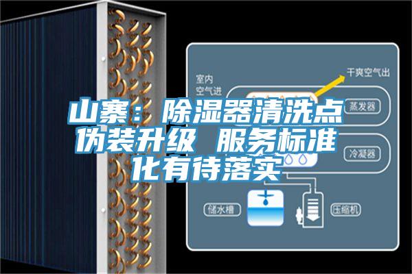 山寨:除濕器清洗點(diǎn)偽裝升級 服務(wù)標(biāo)準(zhǔn)化有待落實(shí)