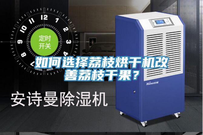 如何選擇荔枝烘干機(jī)改善荔枝干果?