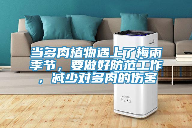 當多肉植物遇上了梅雨季節(jié)，要做好防范工作，減少對多肉的傷害