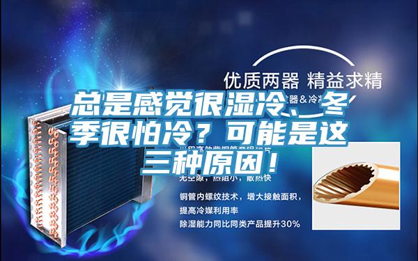 總是感覺很濕冷、冬季很怕冷？可能是這三種原因！