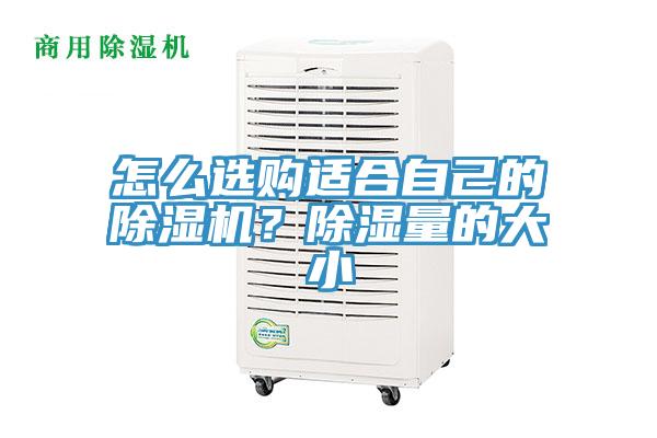 怎么選購適合自己的除濕機?除濕量的大小