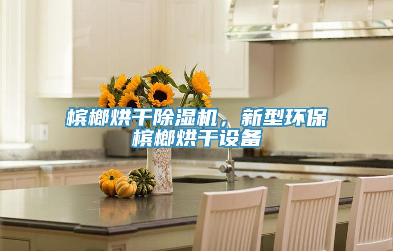 檳榔烘干除濕機，新型環保檳榔烘干設備