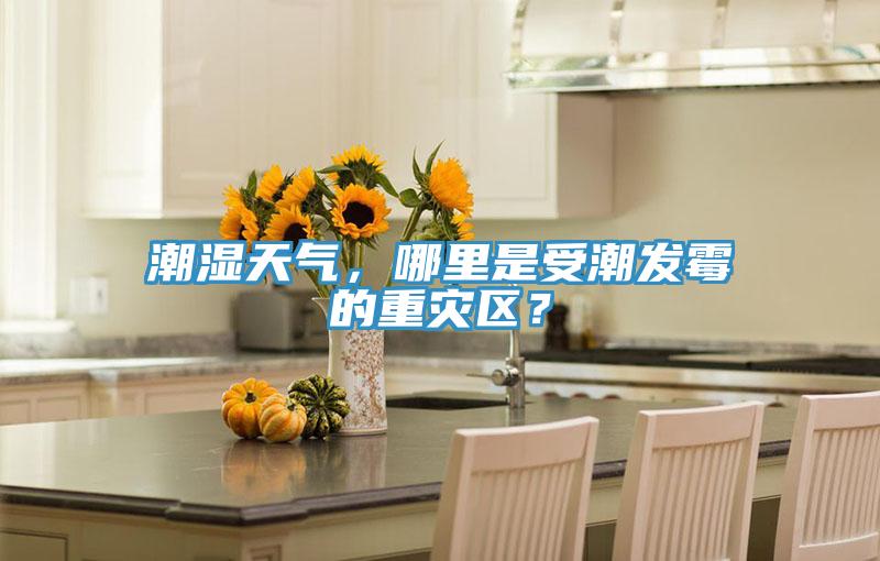 潮濕天氣，哪里是受潮發霉的重災區？