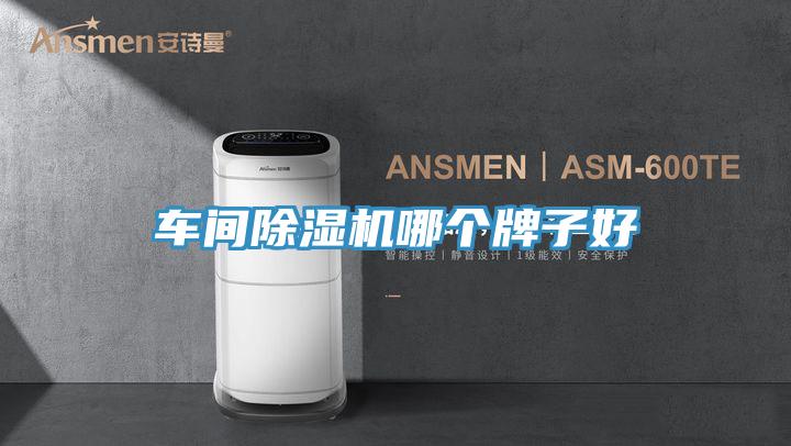 車間除濕機(jī)哪個牌子好