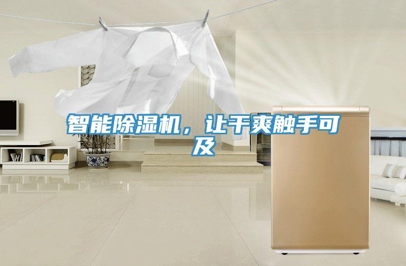 智能除濕機,讓干爽觸手可及