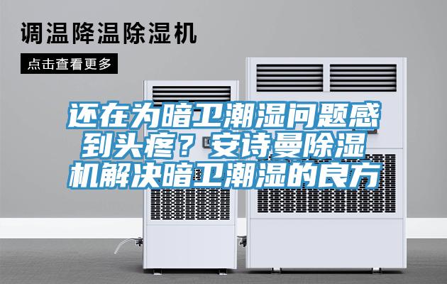 還在為暗衛潮濕問題感到頭疼?安詩曼除濕機解決暗衛潮濕的良方