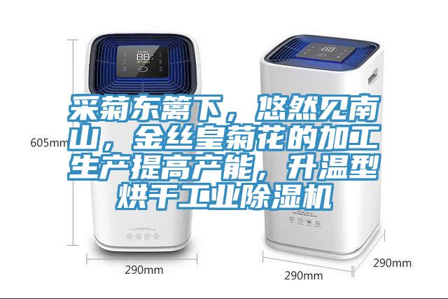 采菊東籬下，悠然見南山，金絲皇菊花的加工生產提高產能，升溫型烘干工業除濕機