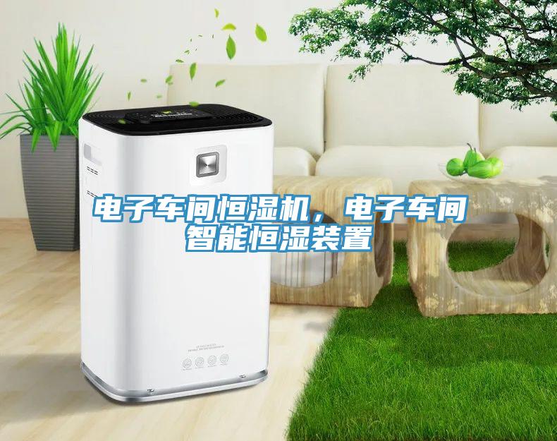 電子車間恒濕機(jī)，電子車間智能恒濕裝置
