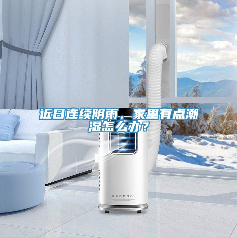 近日連續陰雨,家里有點潮濕怎么辦?