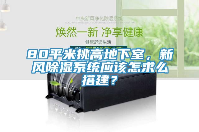 80平米挑高地下室，新風(fēng)除濕系統(tǒng)應(yīng)該怎求么搭建？