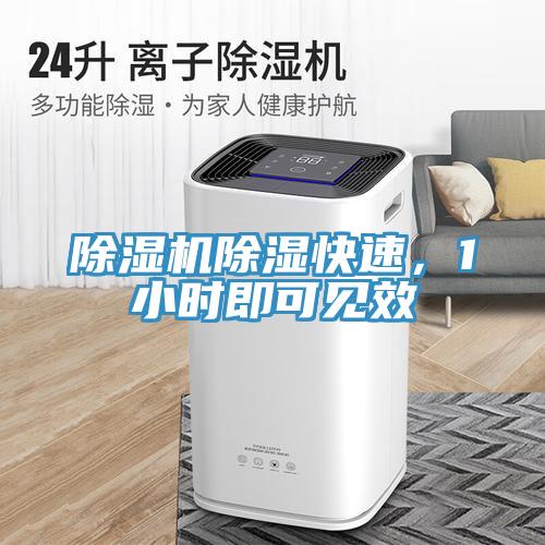 除濕機除濕快速，1小時即可見效