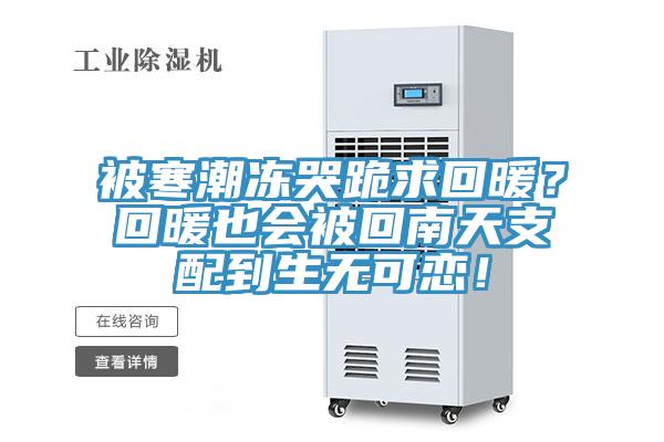被寒潮凍哭跪求回暖?回暖也會被回南天支配到生無可戀!