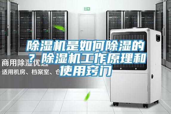 除濕機是如何除濕的?除濕機工作原理和使用竅門