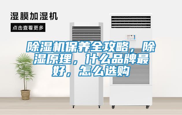 除濕機保養全攻略，除濕原理，什么品牌最好，怎么選購