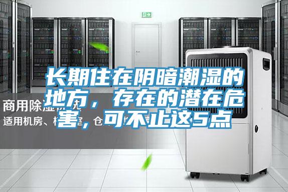 長期住在陰暗潮濕的地方,存在的潛在危害,可不止這5點