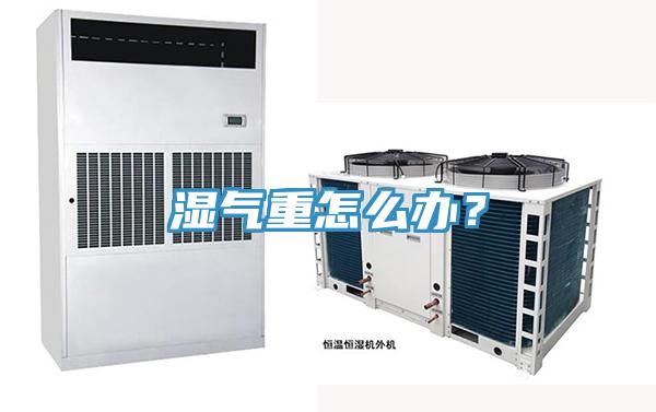 濕氣重怎么辦？