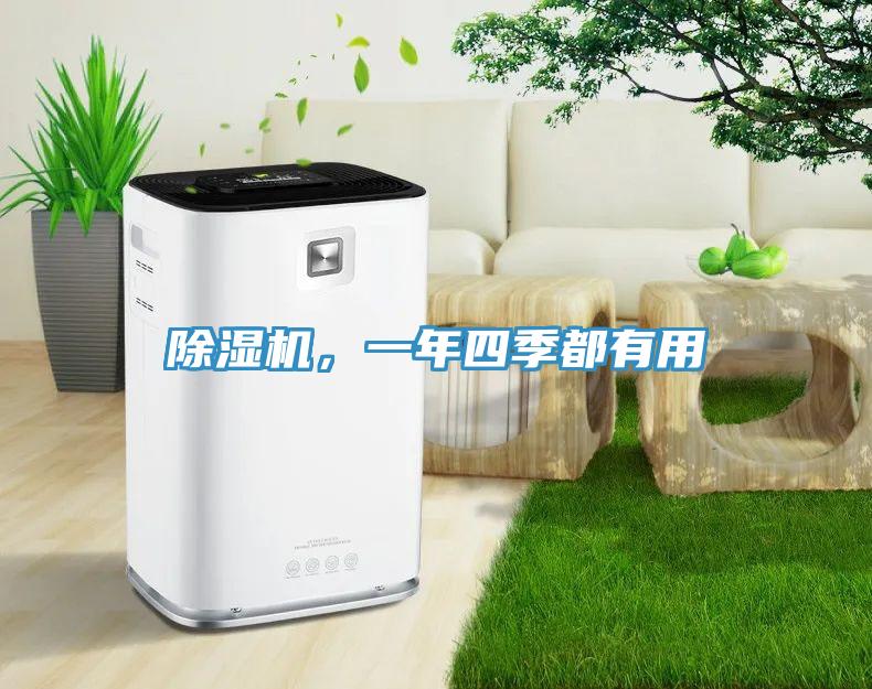 除濕機，一年四季都有用